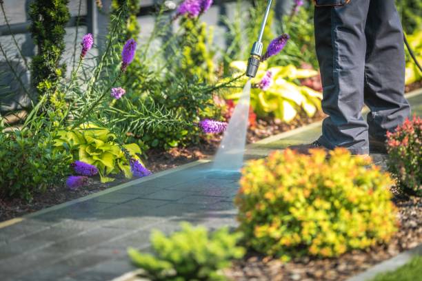 Best Winterizing Services  in Olivarez, TX